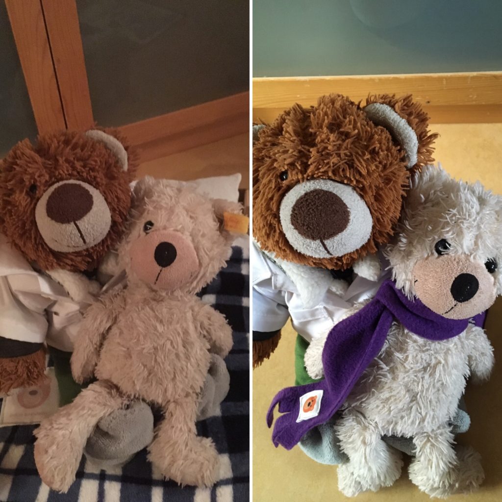 Teddy kan weer goed kijken.