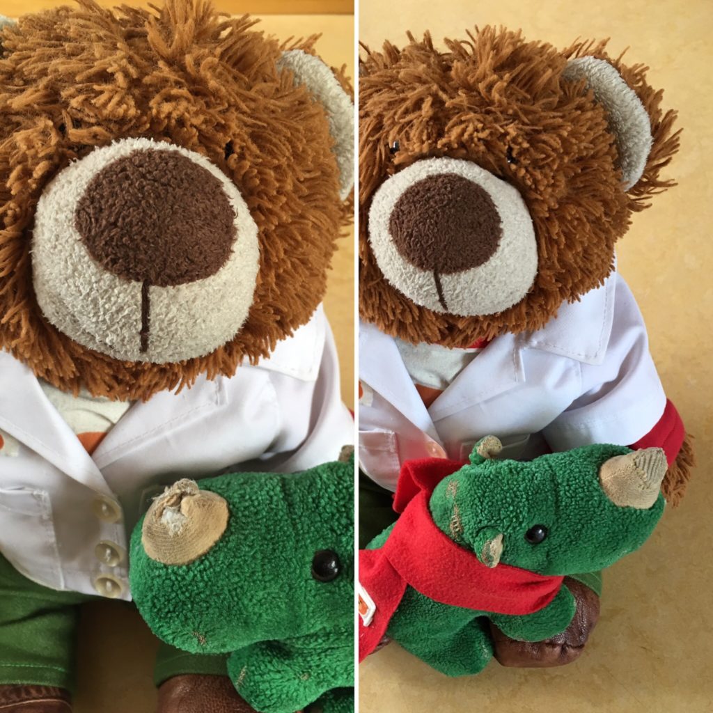 Rino heeft een nieuwe neus.