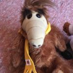 Alfs neus is weer gemaakt.