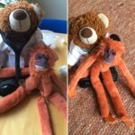 Reparatie van Sammie.